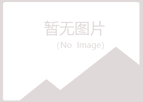 龙岩新罗冰夏能源有限公司